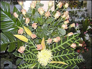    Выставка цветов