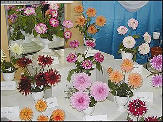    Выставка цветов