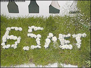    Выставка цветов