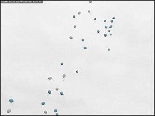    Карнавальное шествие