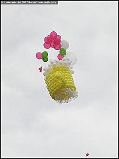    Карнавальное шествие