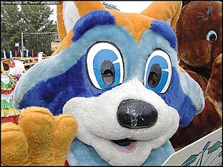    Карнавальное шествие