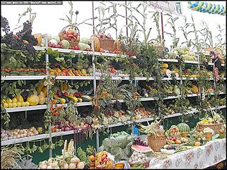    Город празднует