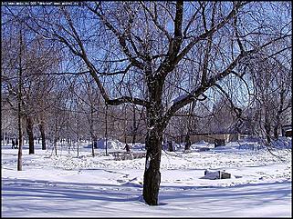    Октябрьскому району 65 лет