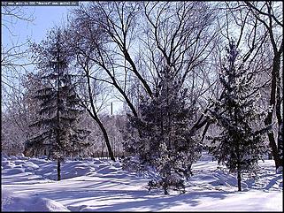    Октябрьскому району 65 лет