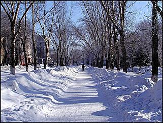    Октябрьскому району 65 лет