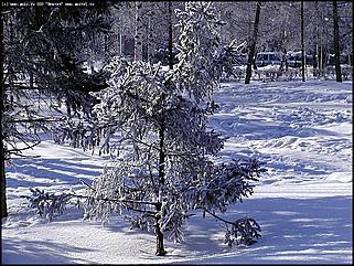    Октябрьскому району 65 лет