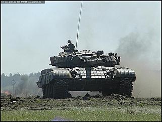    Показательные выступления бронетанковой техники и авиашоу