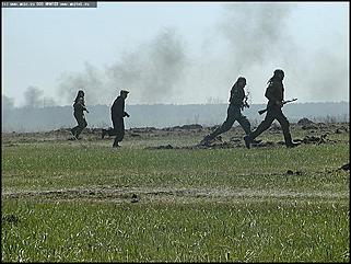    Показательные выступления бронетанковой техники и авиашоу