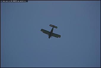    Показательные выступления бронетанковой техники и авиашоу