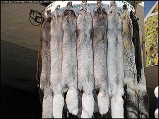    Выставка-ярмарка "Алтайская Нива. Алтайагротех\'2002"