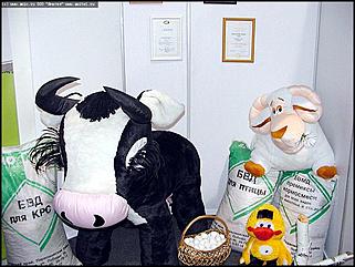    Выставка-ярмарка "Алтайская Нива. Алтайагротех\'2002"