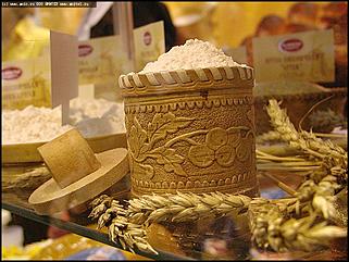    Открытие X выставки-ярмарки "Алтайская Нива. Алтайагротех-2004"