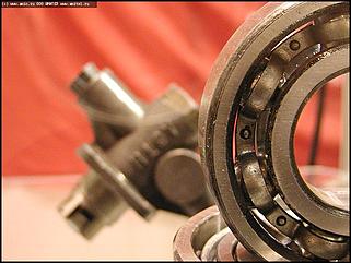    Открытие X выставки-ярмарки "Алтайская Нива. Алтайагротех-2004"