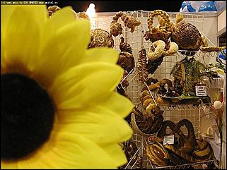    Открытие X выставки-ярмарки "Алтайская Нива. Алтайагротех-2004"