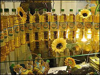    Открытие X выставки-ярмарки "Алтайская Нива. Алтайагротех-2004"