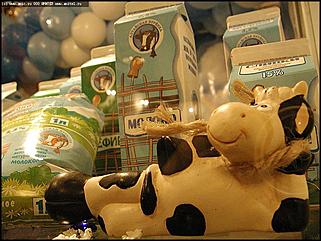    Открытие X выставки-ярмарки "Алтайская Нива. Алтайагротех-2004"