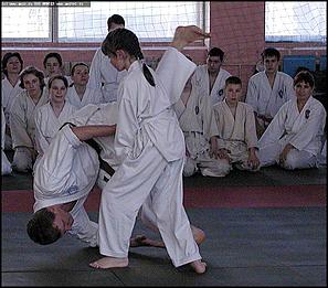    Международный семинар по айкидо