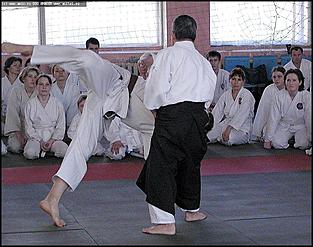    Международный семинар по айкидо