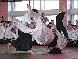    Международный семинар по айкидо