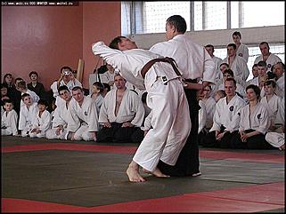   Международный семинар по айкидо