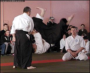    Международный семинар по айкидо