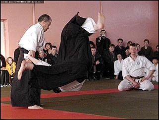    Международный семинар по айкидо