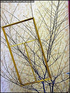    Выставка "Природы милого Алтая совершенство"