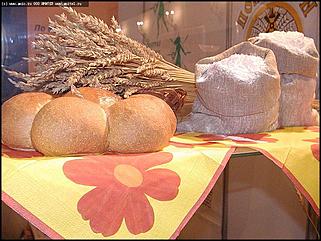    Выставка-ярмарка "Алтайская Нива. Алтайагротех - 2003"