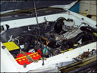    Фоторепортаж