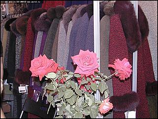    "Индустрия красоты" и "Индустрия моды"