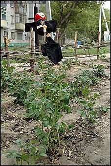    Лучший дом, общежитие, подъезд, двор, площадка и балкон Барнаула