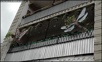    Лучший дом, общежитие, подъезд, двор, площадка и балкон Барнаула