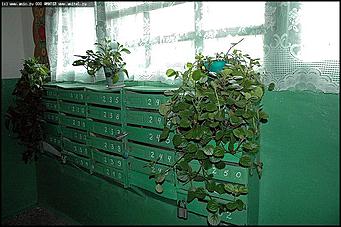    Лучший дом, общежитие, подъезд, двор, площадка и балкон Барнаула