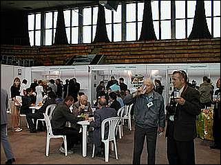    Пивной фестиваль "Солнце в кружке"