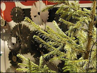    Выставка "Строительство. Благоустройство. Интерьер"