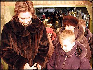    Бал-маскарад кошек