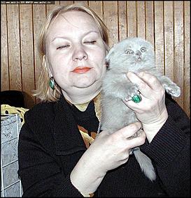    Бал-маскарад кошек