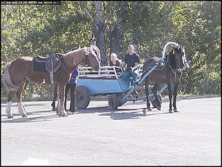    Легкоатлетический пробег "Барнаул - город спорта"