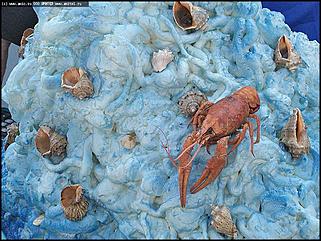    Выставки народного промысла