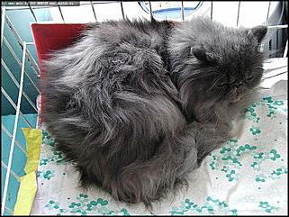    Выставки народного промысла