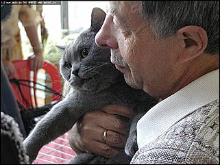    Выставки народного промысла