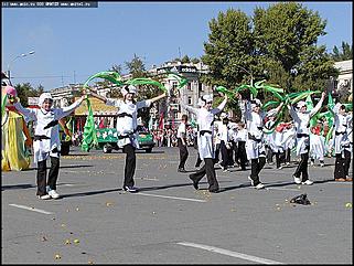    Карнавальное шествие