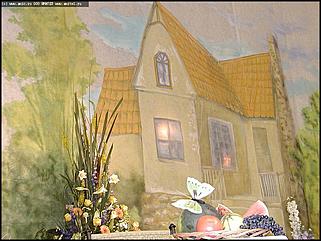    Выставка цветов