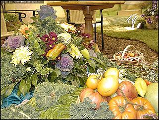    Выставка цветов