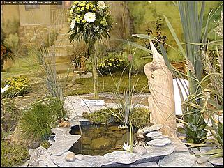    Выставка цветов