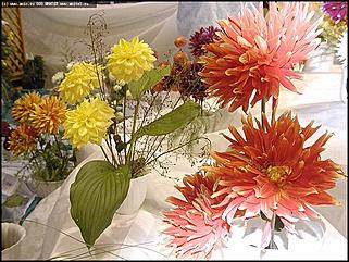    Выставка цветов