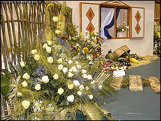    Выставка цветов