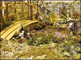    Выставка цветов