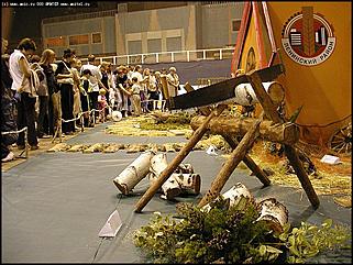    Выставка цветов